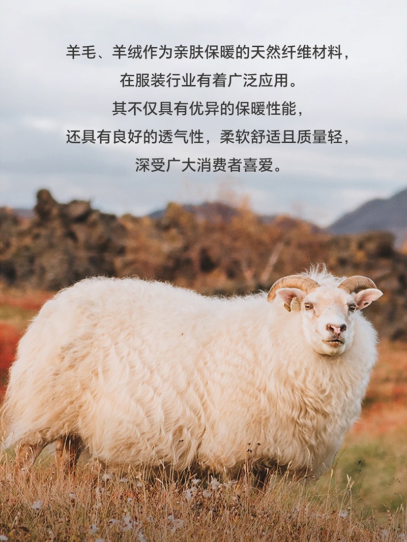 未標題-1.jpg