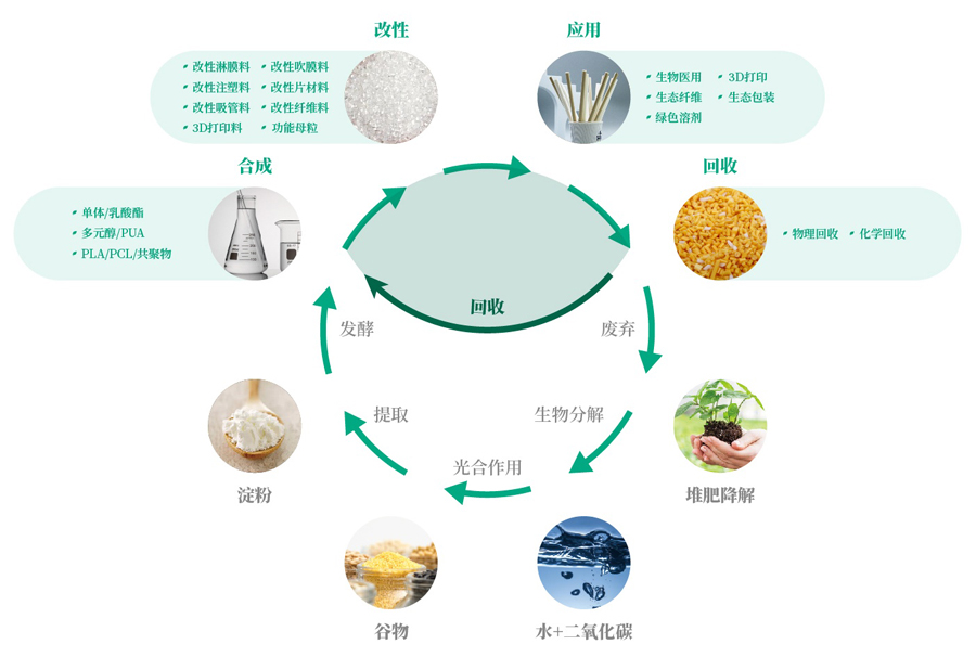 循環(huán)圖